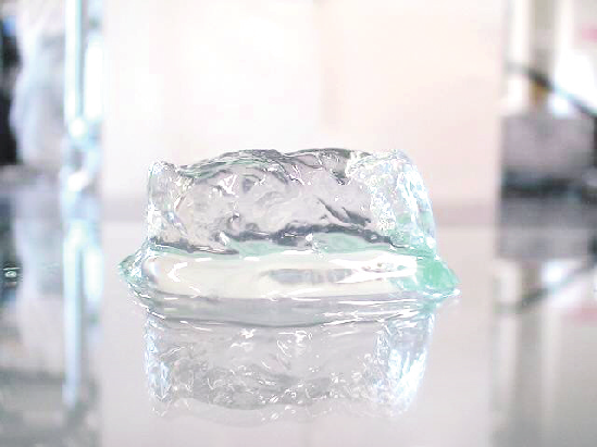 水を吸ったサクラン